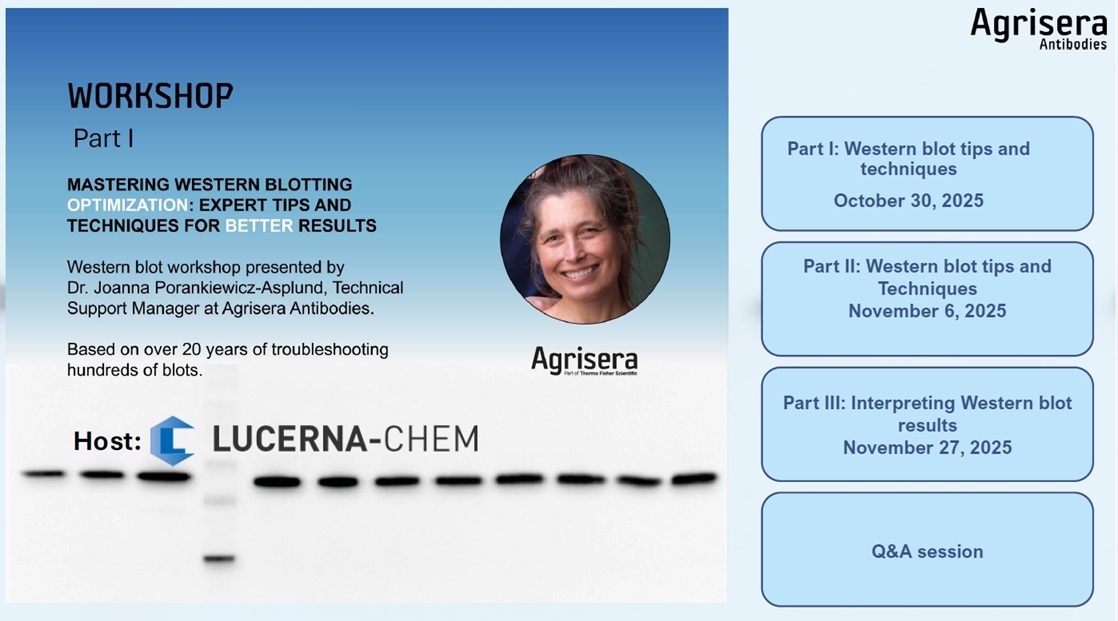Agrisera Western blot webinar with Lucerna