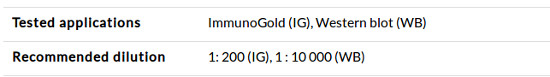 Agrisera Antibody Dilution