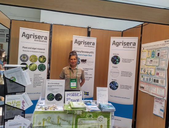 Agrisera at IPMB2018