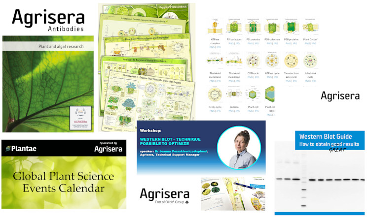 Agrisera Contribution to Plant Science