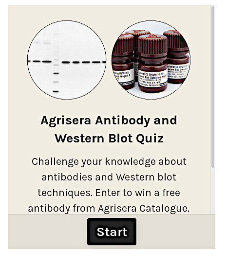Agrisera Antibody and Western blot Quiz