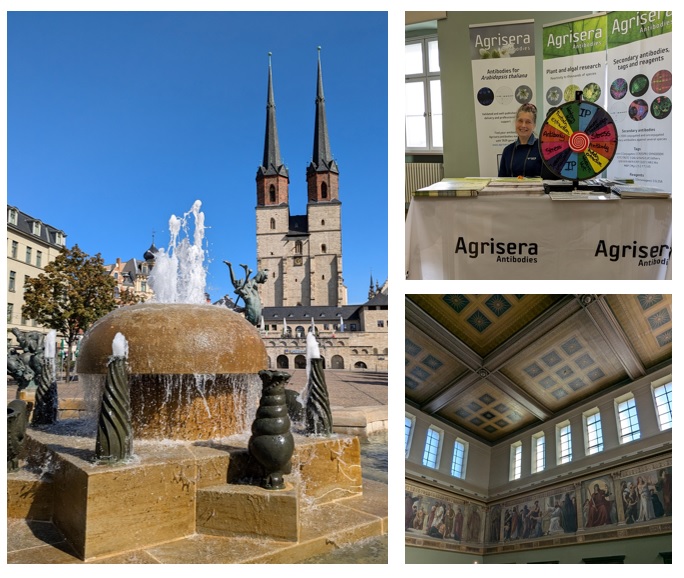 Agrisera at the German Society of Plant Sciences conference in Halle