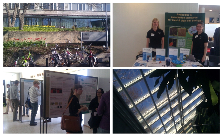 Agrisera on Finnish Plant Science Days in Helsinki, May 2013