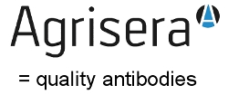 Agrisera quality antibodies