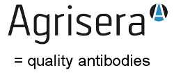 Agrisera quality antibodies Agrisera quality antibodies