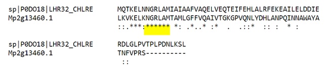 Alignment example