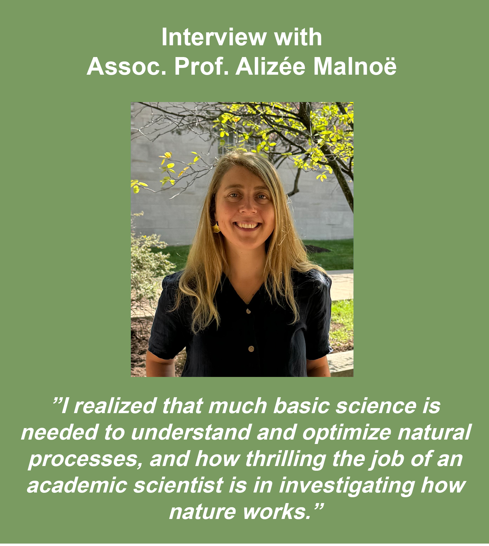 Assoc. Prof. Alizée Malnoë