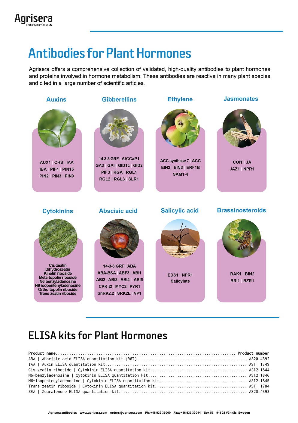 Agrisera hormonal antibodies and kits