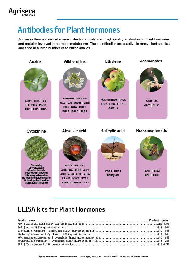 Agrisera hormonal antibodies and kits