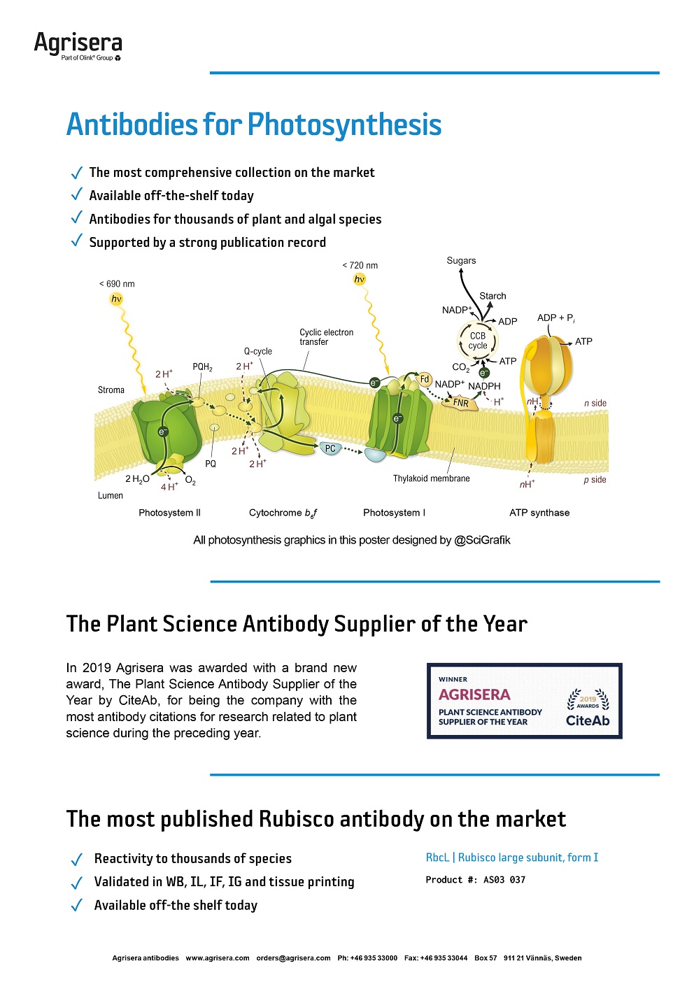 Agrisera photosynthesis antibodies