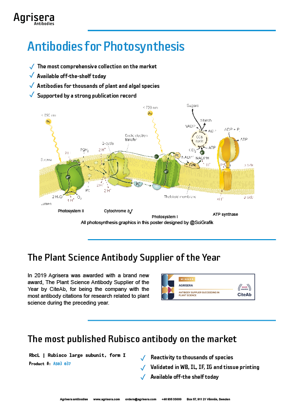 Agrisera photosynthesis antibodies