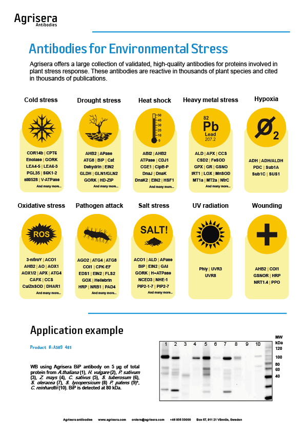 Agrisera environmental stress antibodies