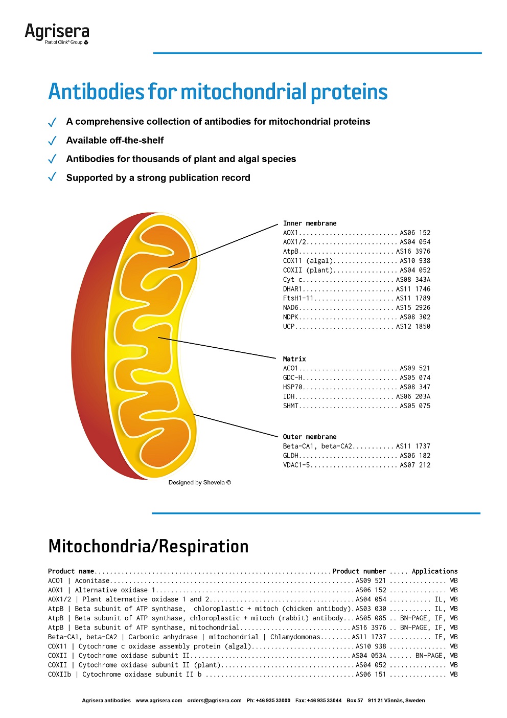 Agrisera mitochondrial antibodies 