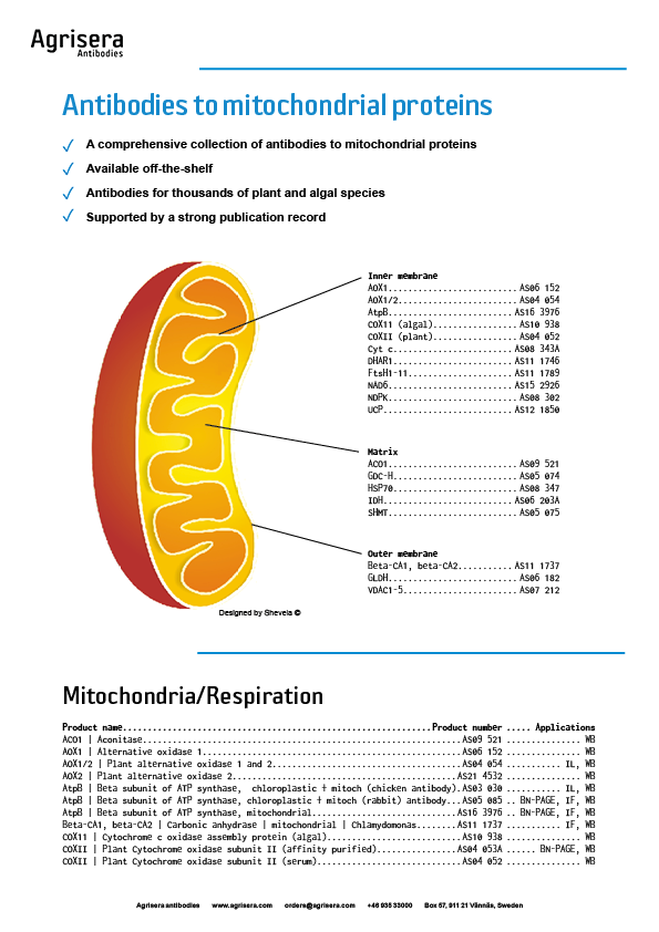 Agrisera mitochondrial antibodies 
