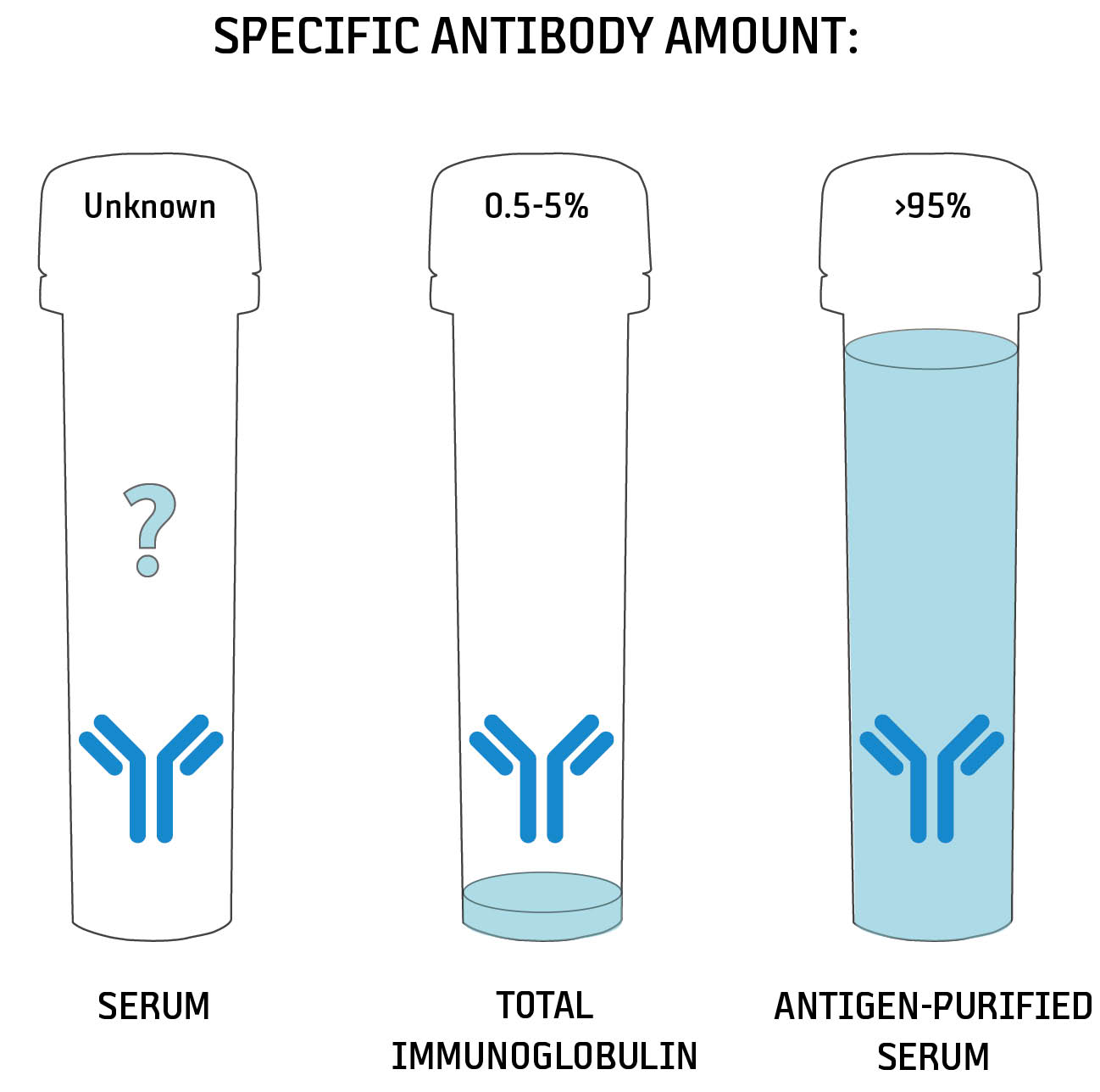 Specific Antibody concentration in serum