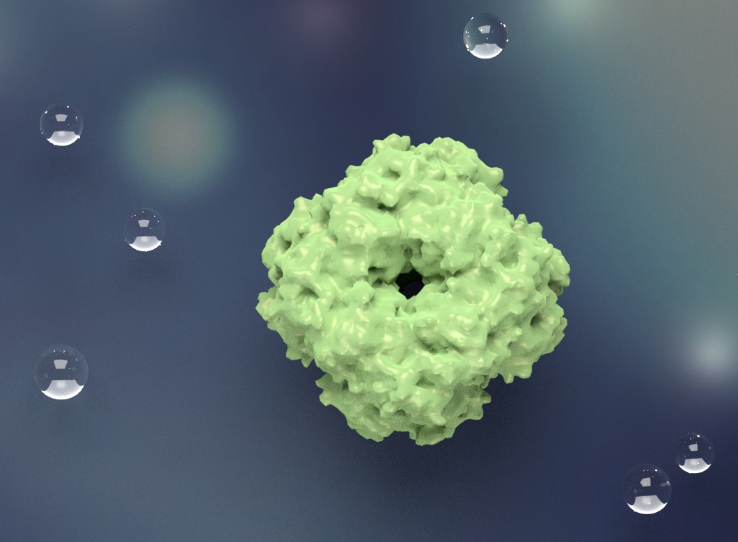 Antibody Production Guide