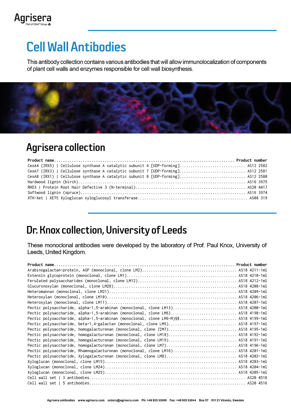 Agrisera cell wall antibodies