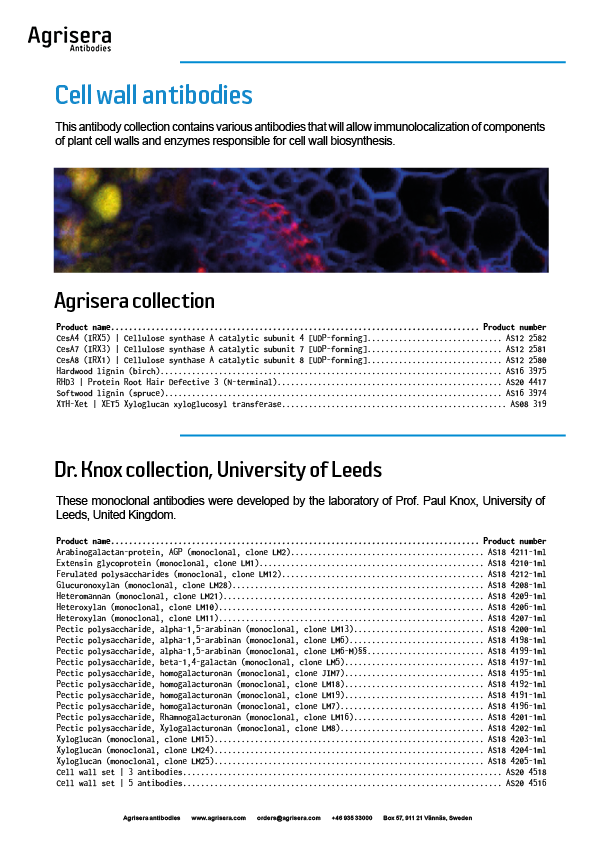 Agrisera cell wall antibodies