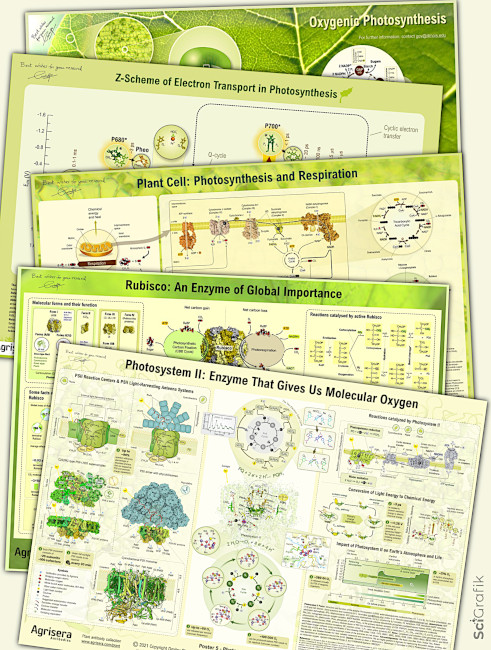 Agrisera educational posters