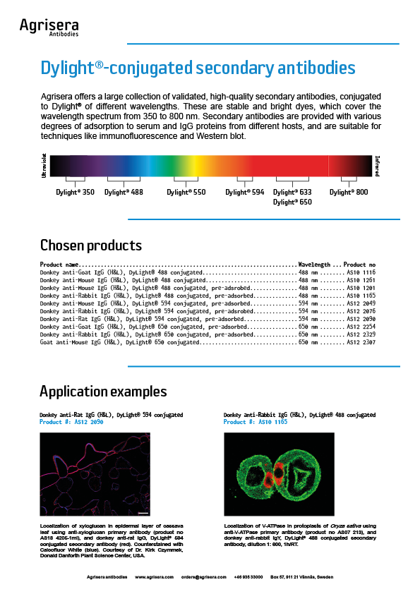 Agrisera Dylight®-conjugated secondary antibodies