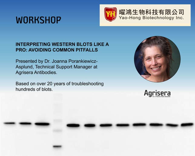 How to interpret Western blot results, webinar with Agrisera
