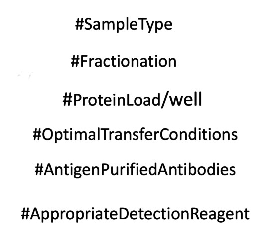 How to obtain a good signal with a weak antibody?