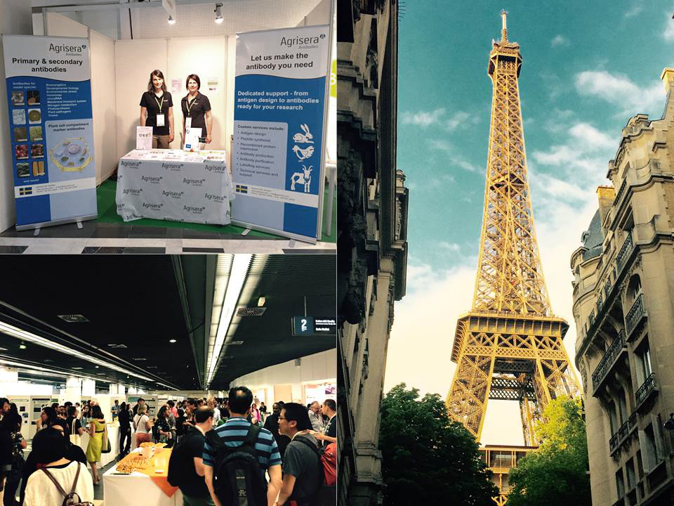 Agrisera at ICAR 2015, in Paris