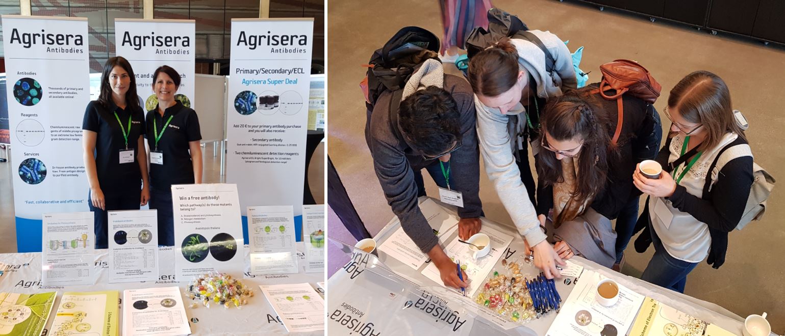 Agrisera at ICAR2018