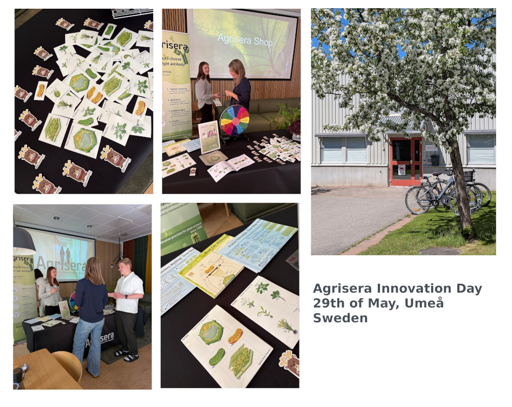 Innovation Day at Agrisera