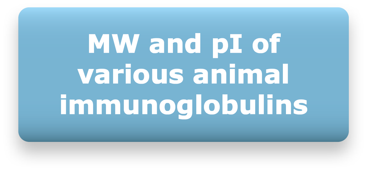 MW and pI of various animal immunoglobulins