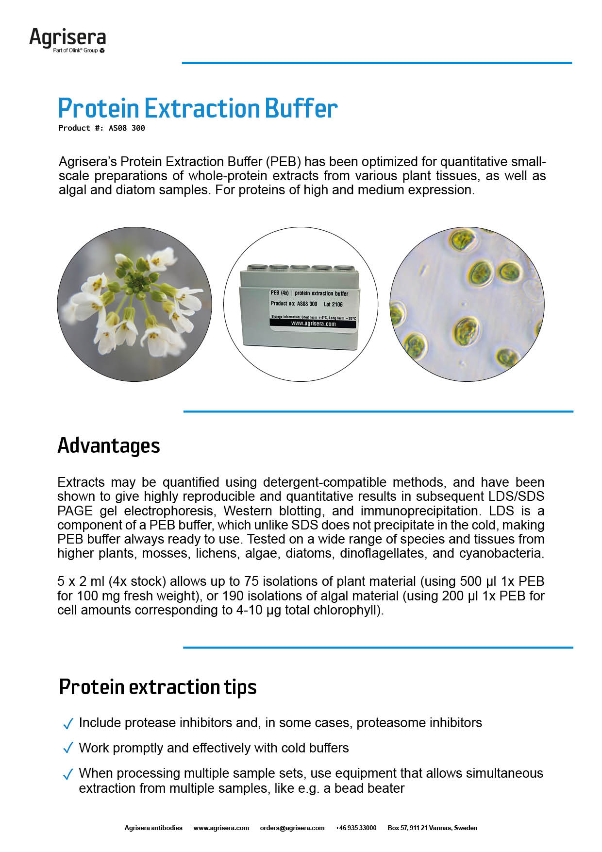 Agrisera Dylight®-conjugated secondary antibodies