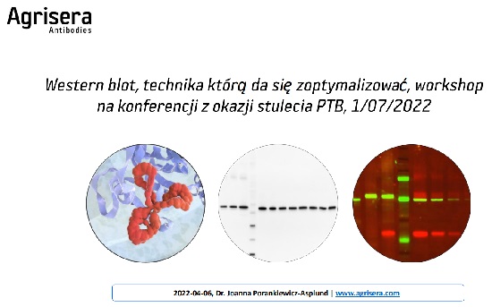 Workshop Agrisera during Polish Botanical Society Conference