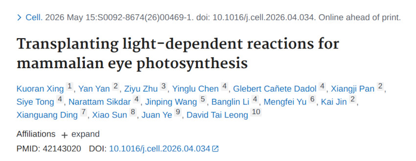 Photosynthetic antibodies and mammalian eye recovery