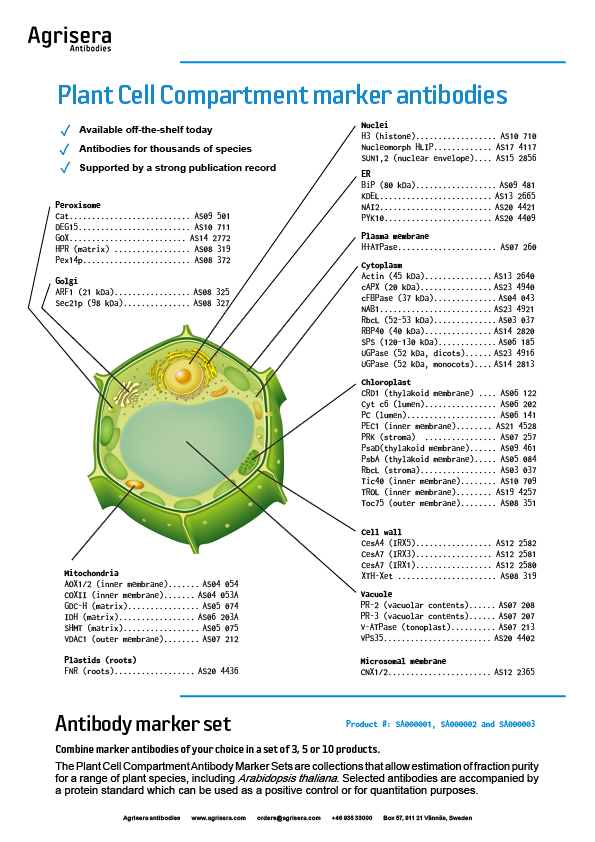 Agrisera compartment markers