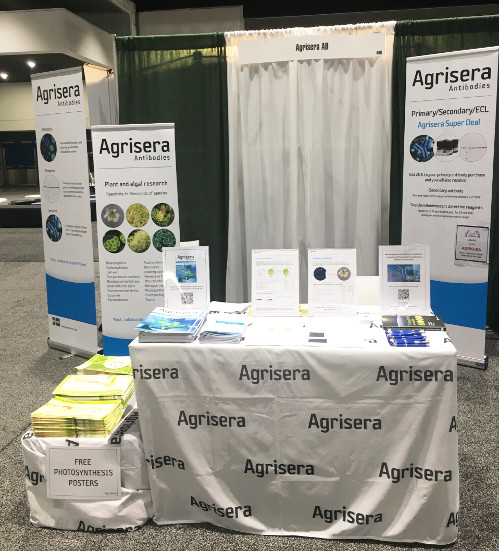 Agrisera at Plant Biology 2019