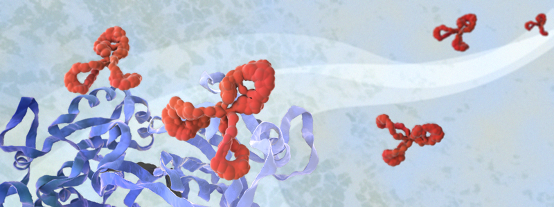Protein & antibodies Protein and antibody image