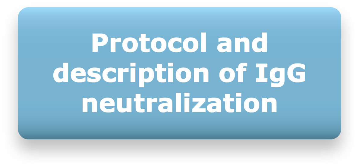 Protocol and description of IgG neutralization