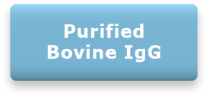 Purified Bovine IgG