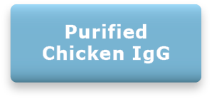 Purified Chicken IgG