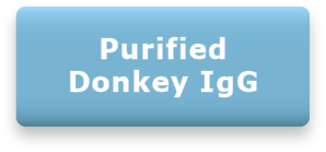 Purified Donkey IgG