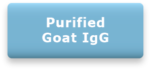 Purified Goat IgG