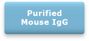 Purified Mouse IgG