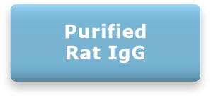 Purified Rat IgG