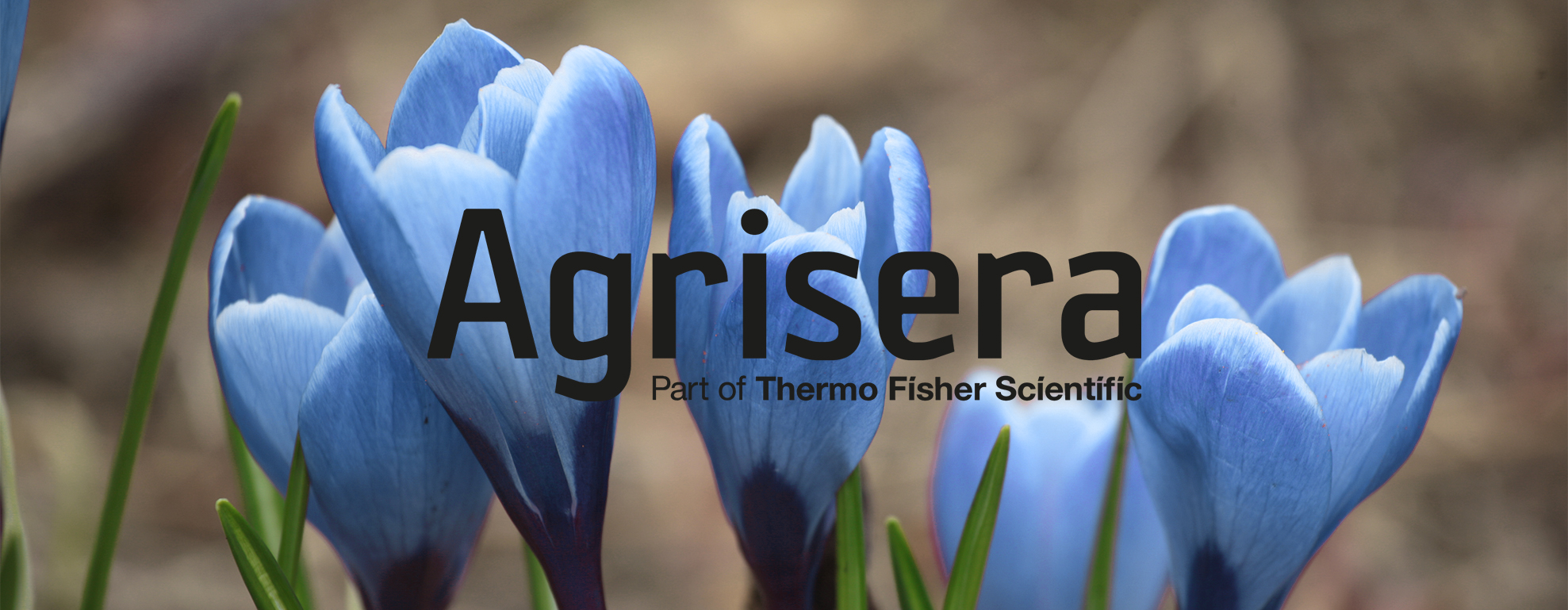 Agrisera community