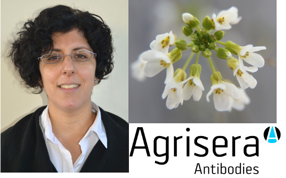 Dr. Henriques visiting Agrisera 