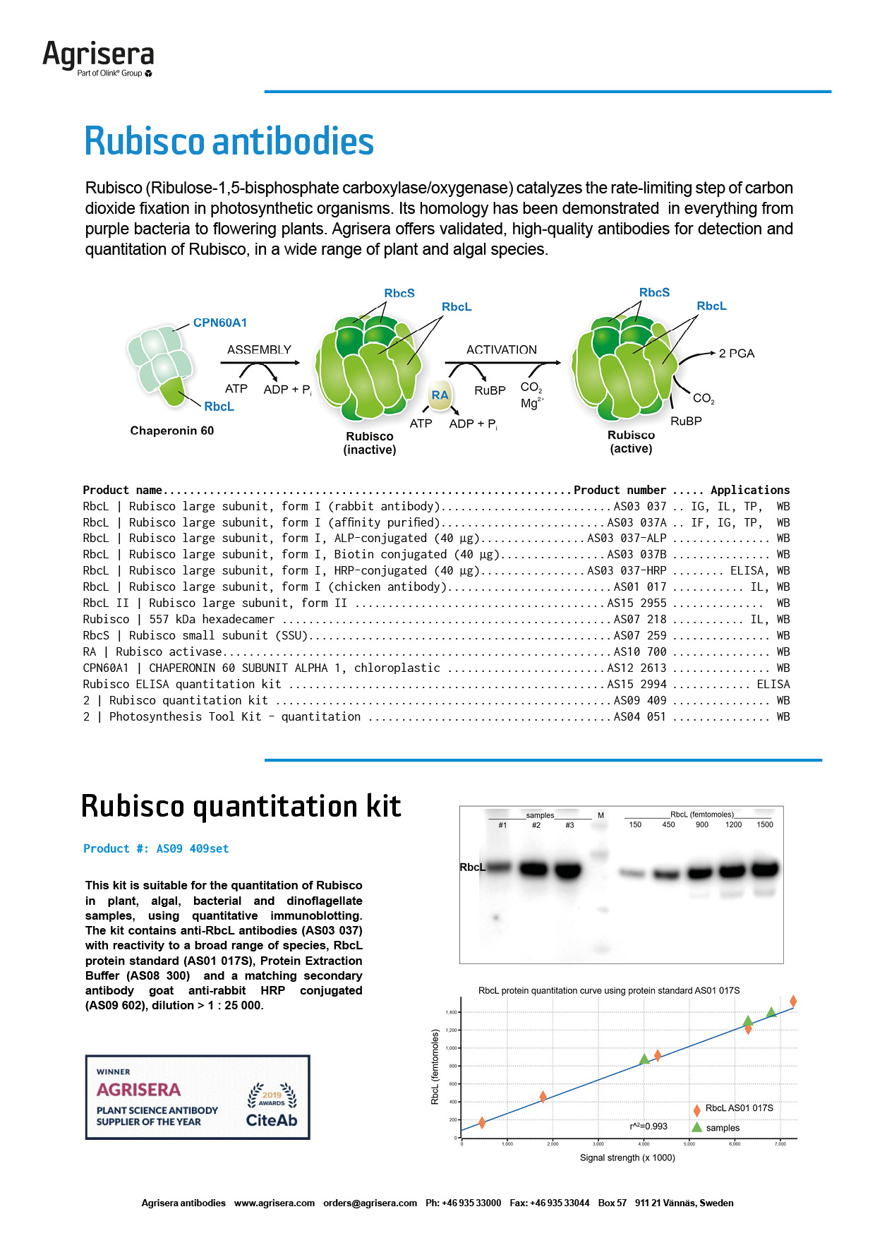 Agrisera Rubisco antibodies