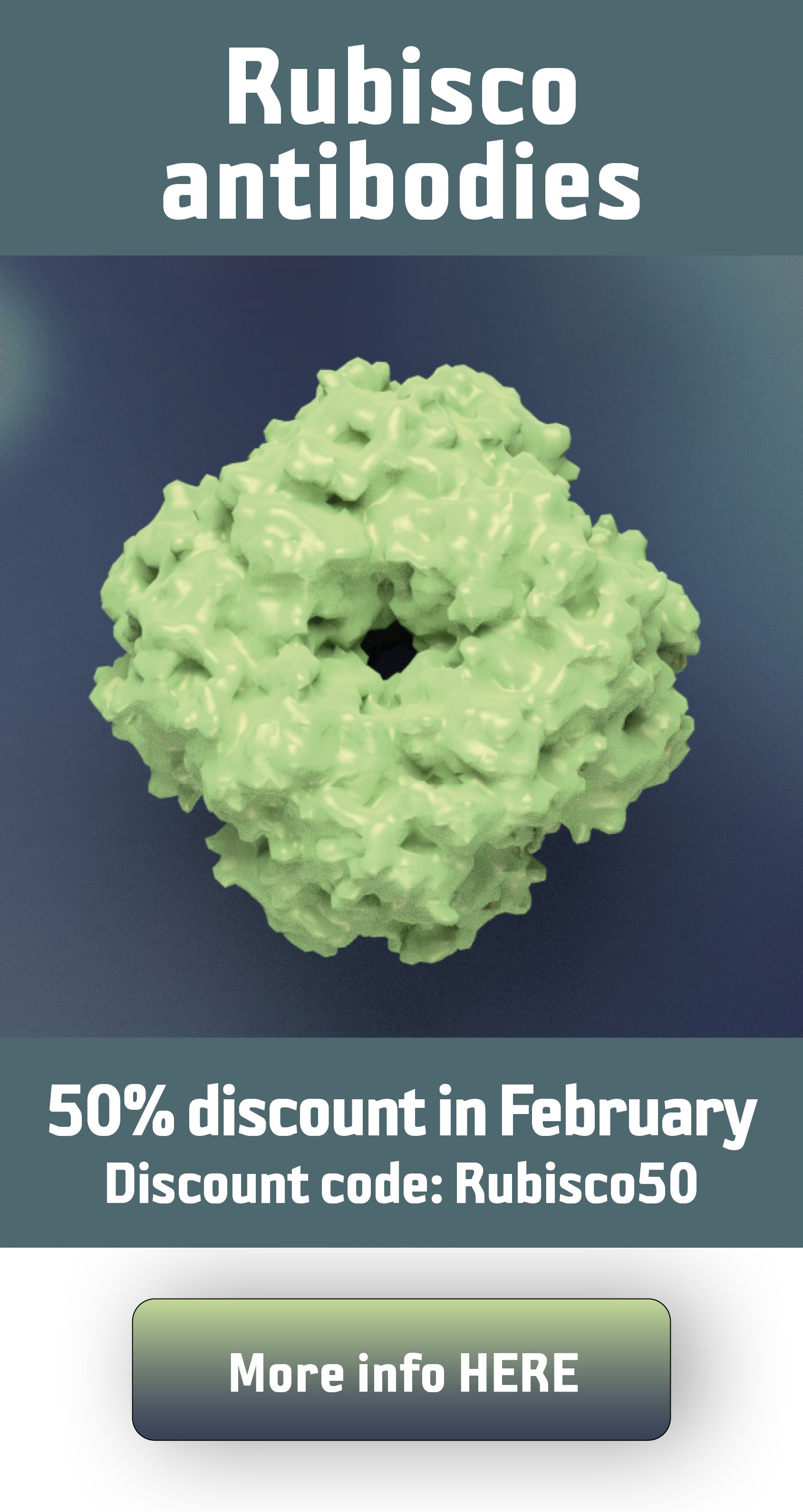 Donkey antiRabbit IgG (H&L), Affinity purified, DyLight® 405