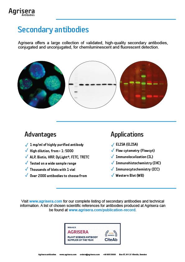 Agrisera secondary antibodies