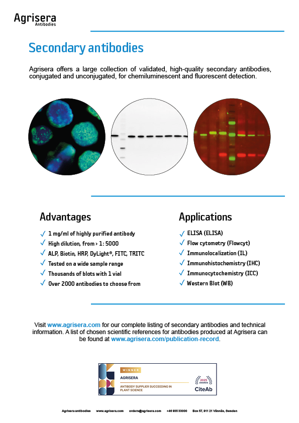 Agrisera secondary antibodies