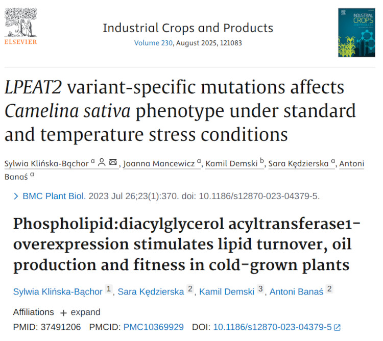 Simple extraction protocol for plant membrane proteins